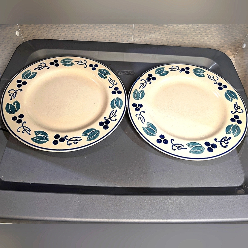 Pfaltzgraff vintage USA ceramic Blueberries handpainted 2 8.5"โ salad plates